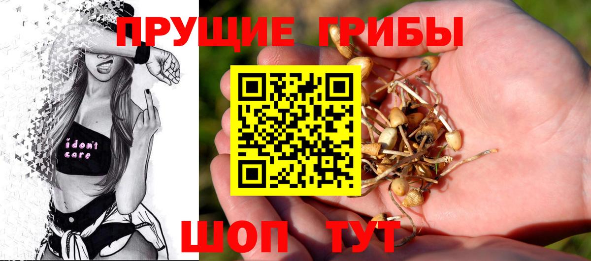 Псилоцибиновые грибы мухоморы  Вход с VPN  Салават 
